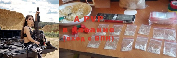 ГАЛЛЮЦИНОГЕННЫЕ ГРИБЫ Кукмор