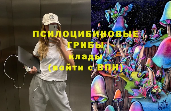 бошки Краснотурьинск