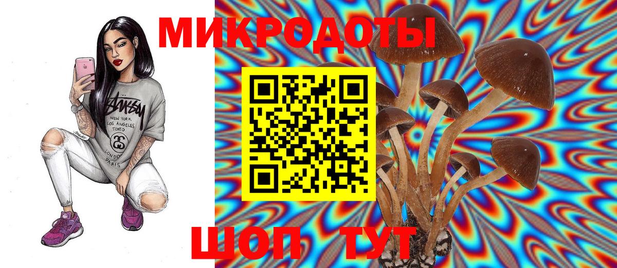 Галлюциногенные грибы ЛСД  Вход с VPN  Кольчугино 