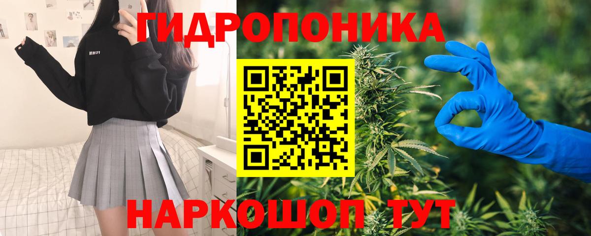 Бошки Шишки семена Кольчугино